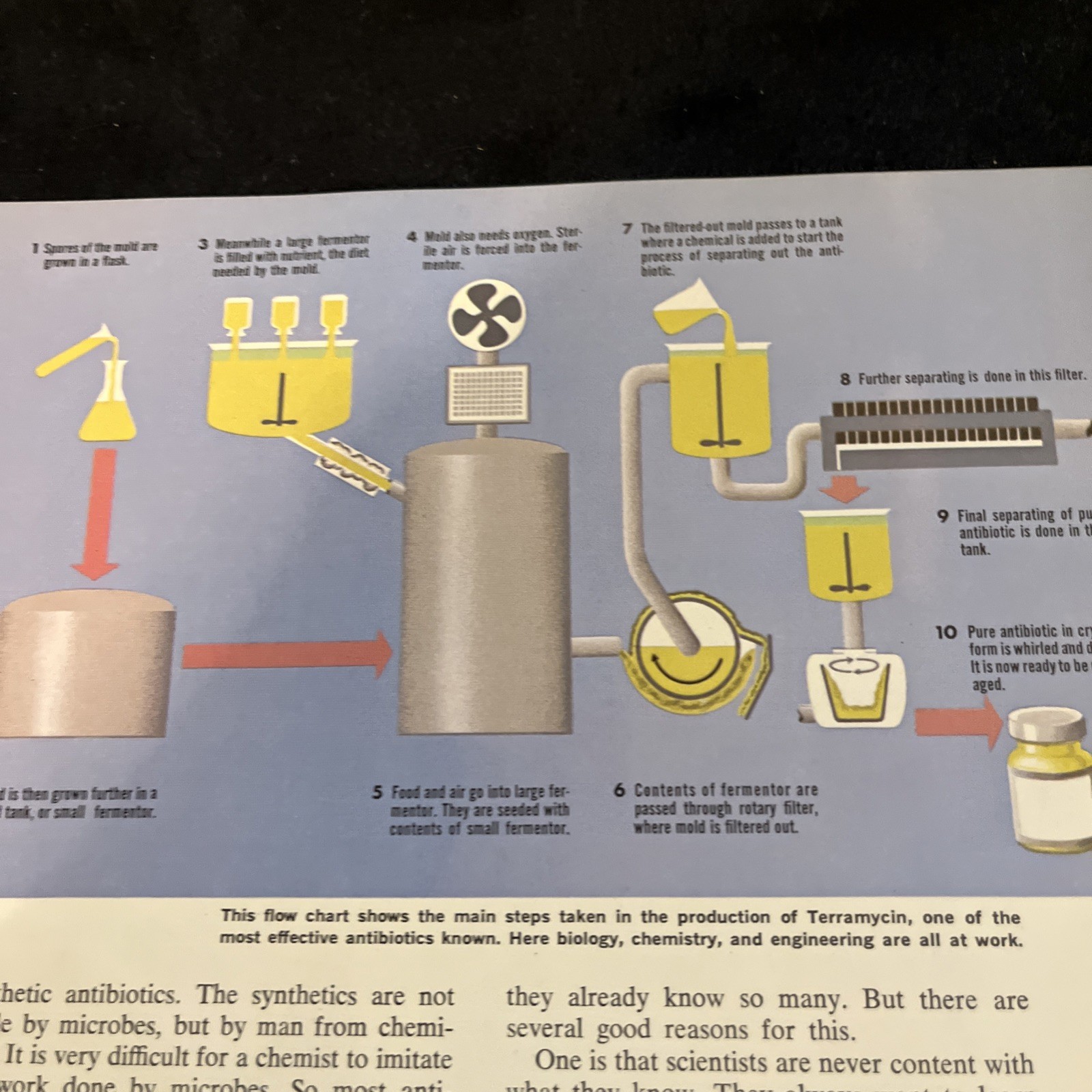 Weimer Purcell Antibiotic Production Illustration 1967 Original Encyclopedia