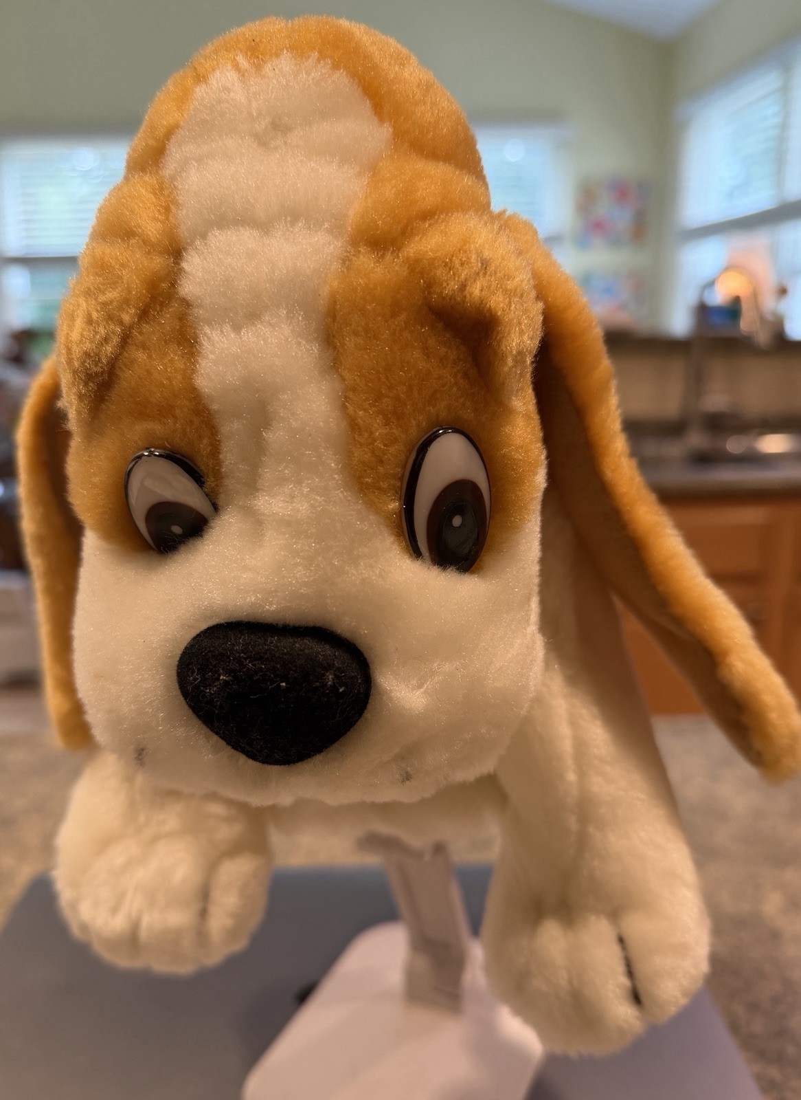 Vtg Cedax 7.5″ Pharmaceutical Advertising Drug Rep Promo Plush Hound Beagle Toy