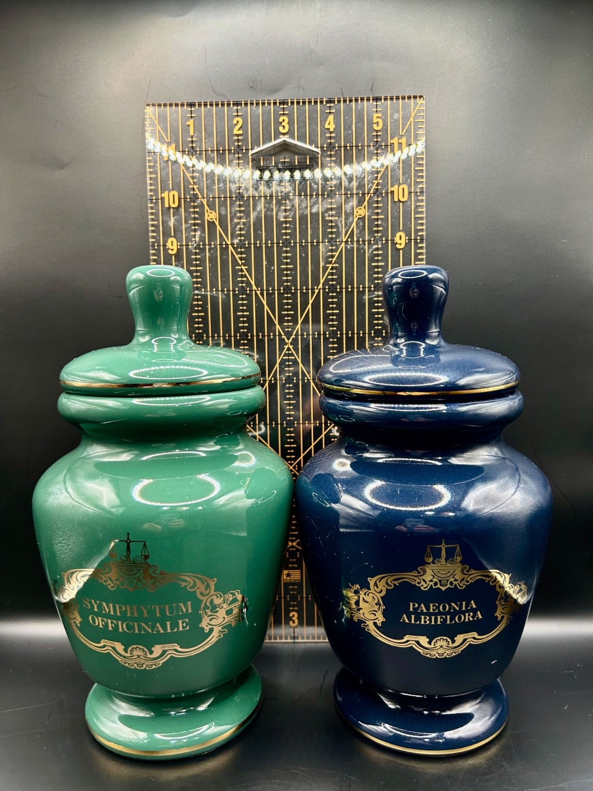 Vintage Apothecary Canister Jars Homeopathic gold trim 9″ ceramic