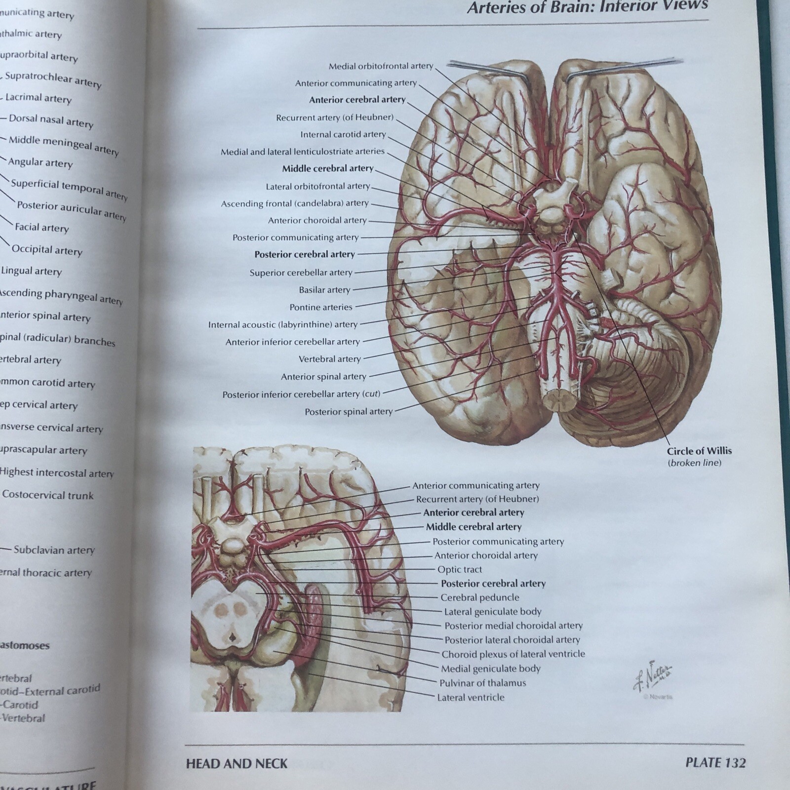 Pharmaceutical Norvatis Promo DIOVAN Cardiovascular Anatomy Hardcover Book