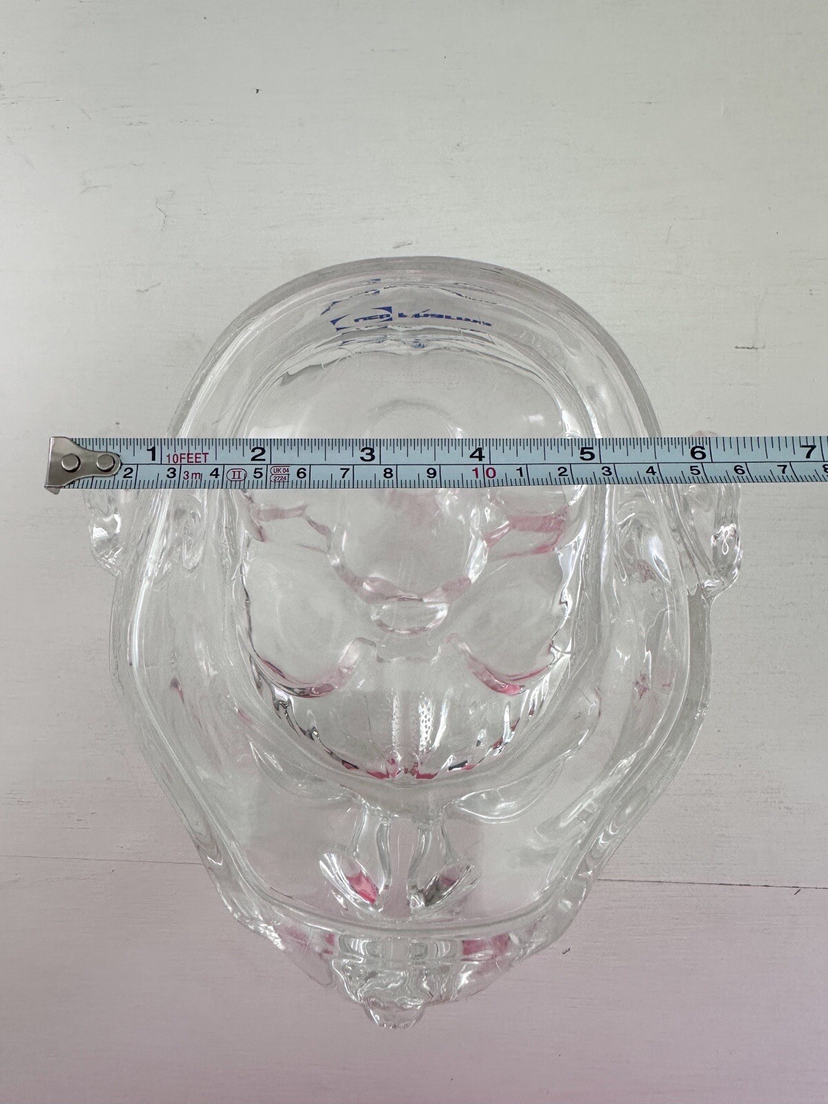 UCB Pharma Lucite Head Skull Brain Model Medical Pharmaceutical Science Display
