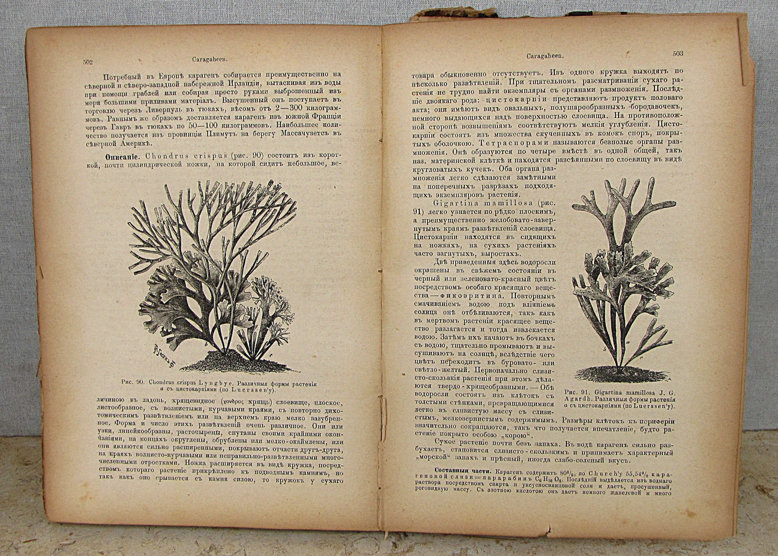 RUSSIAN ANTIQUE PHARMACOLOGY BOOK “ROSSISKAYA FARMOKOPIYA” I.KALNING ILLUST.1893