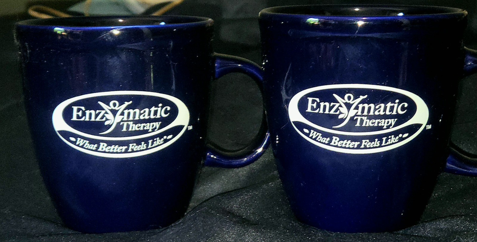 2 Enzymatic Therapy Mugs, Pharmacy Drug Rep. Dark Blue Promotional Holds 16 oz.