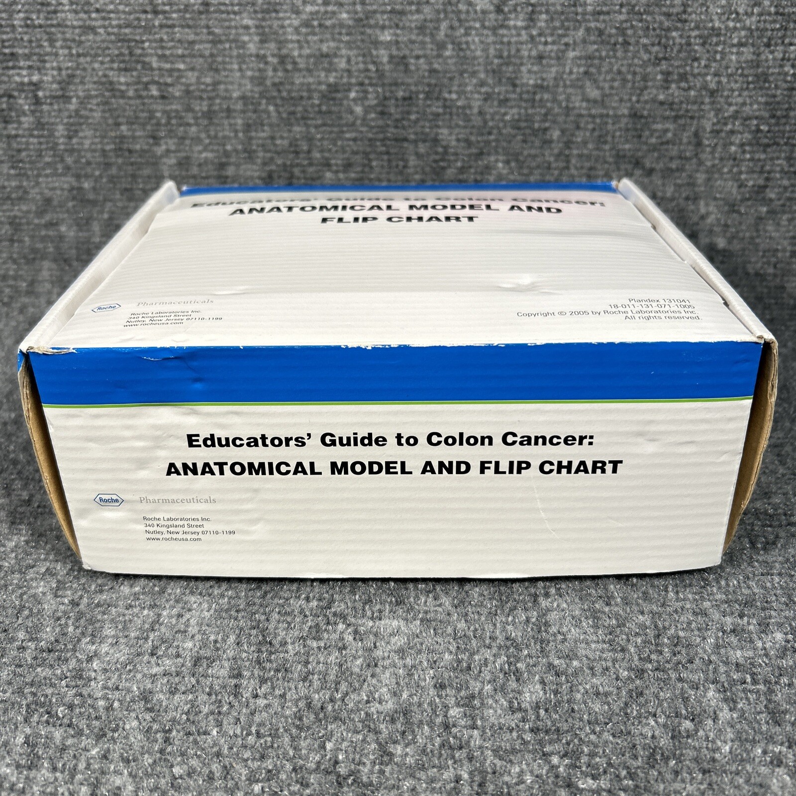 Colon Cancer Anatomical Anatomy Model Chart Display Roche Pharmaceutical Xeloda