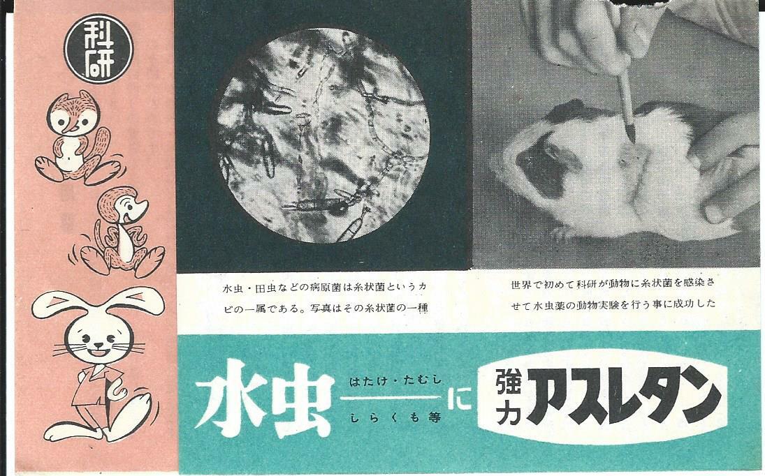 Medication Brochure – Roche – Asterol Antifungal c1950’s JAPANESE lang (PH26) S