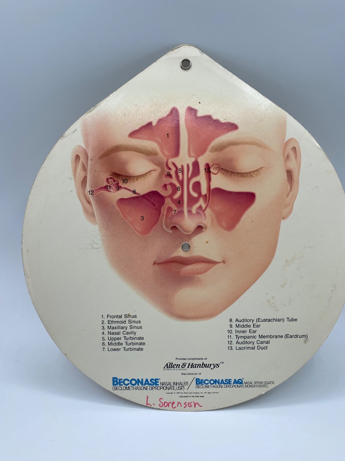 Vintage Pharmaceutical Prop 1988 Nasal Spray Advertisment for Beconase Spray