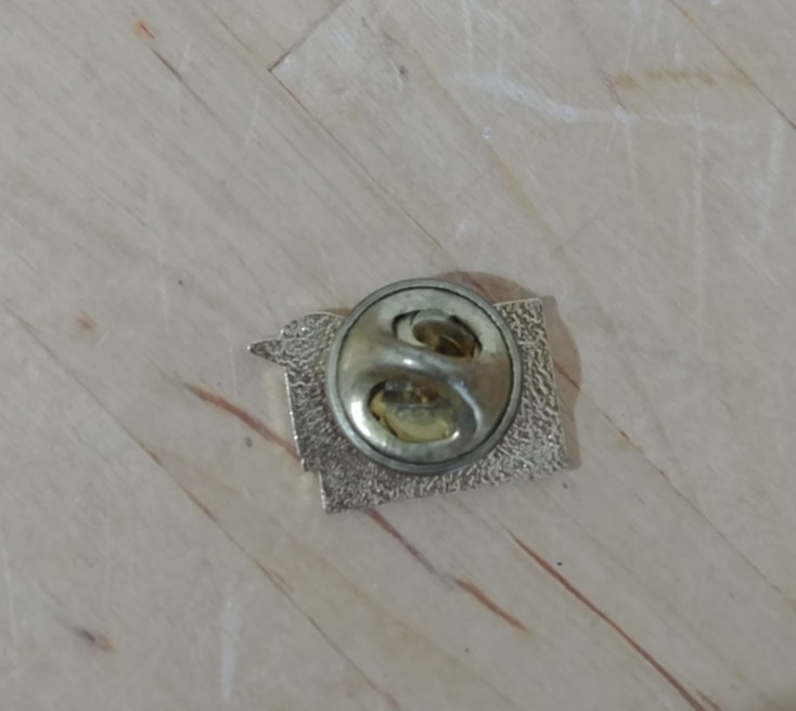 Vintage ‘On The Move’ APhA Pharmacy San Francisco Pin Gold Tone Enamel