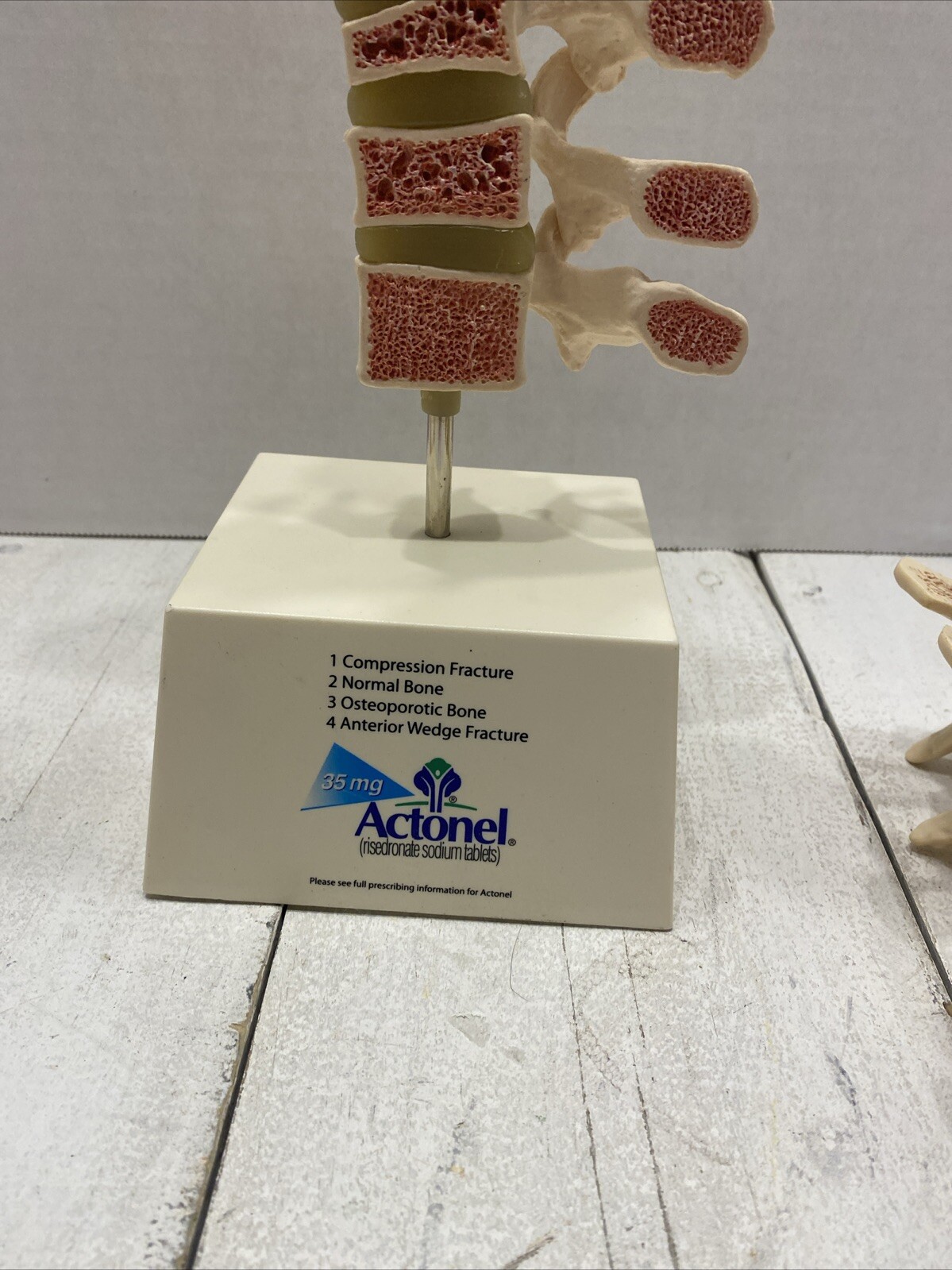 Drug Rep ACTONEL Dr’s Office Display