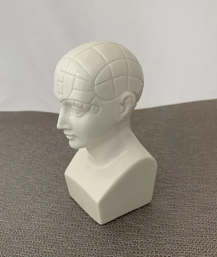 Antipsychotip Etrafon Porcelain Phrenology Bust Sculptor Edward Marshall Boehm