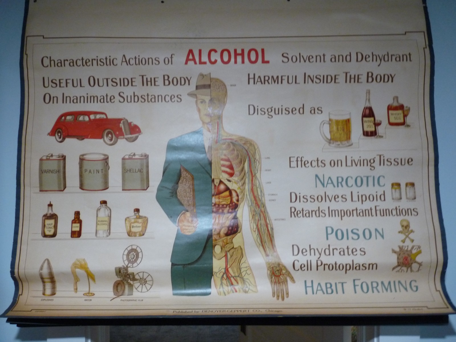 FANTASTIC “ALCOHOL” 1930S PULL DOWN MEDICAL CHART , DENOYER GEPPERT 44X36