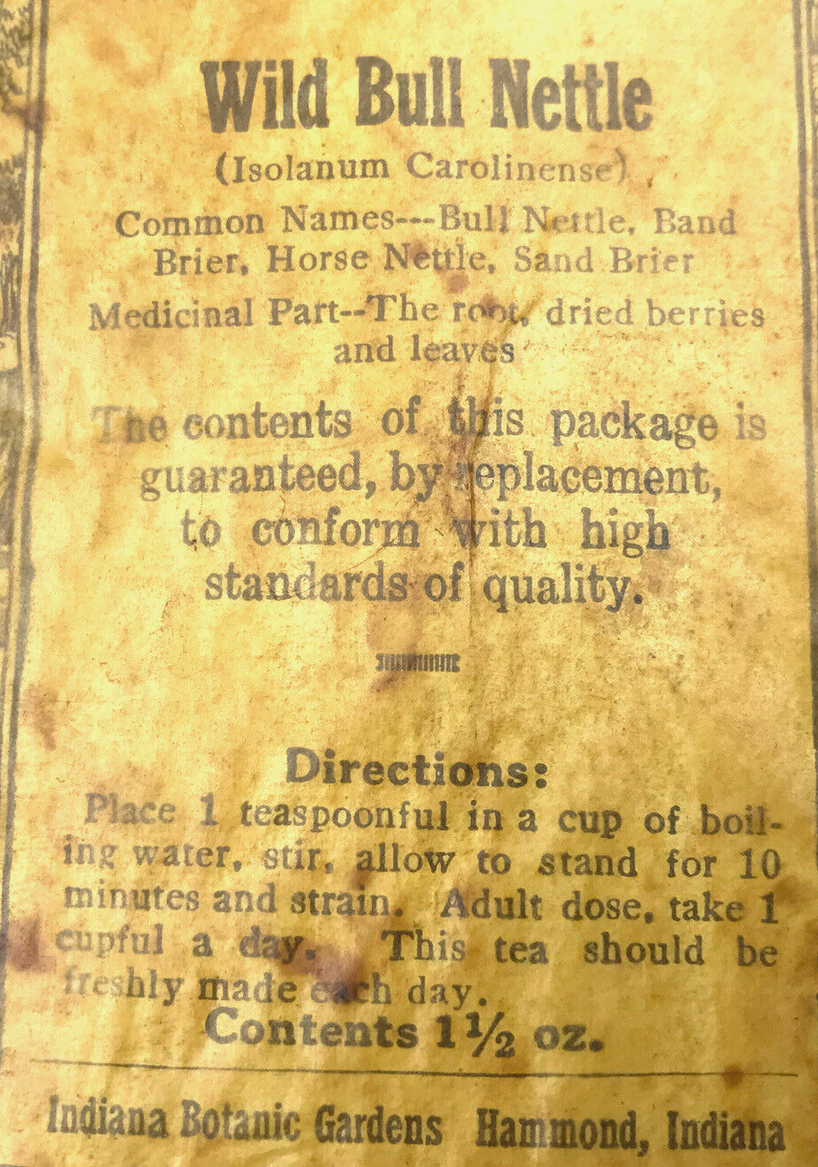 Antique Vtg Eyer Wild Bull Nettle Hammond Indiana Botanic Garden Medicinal Herbs