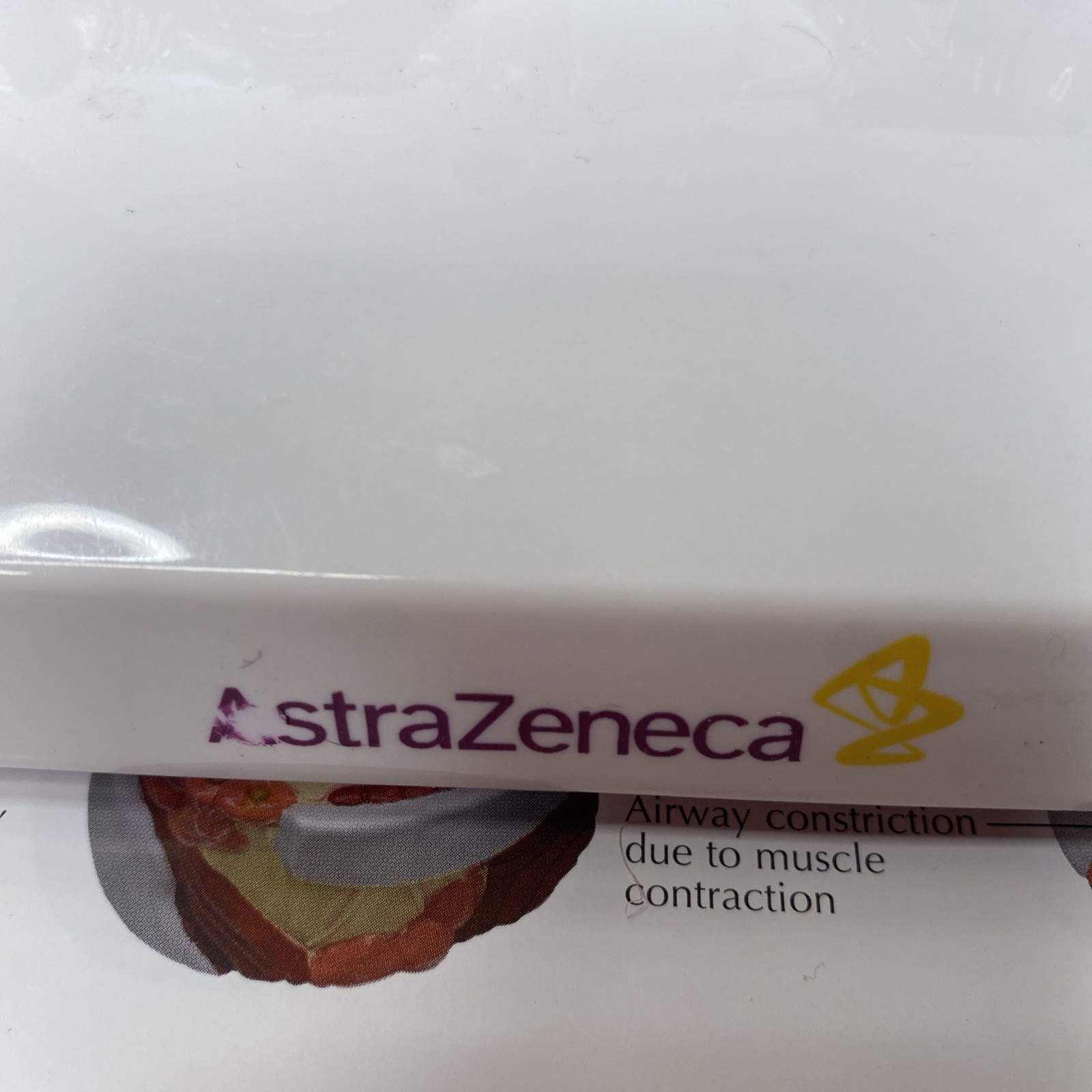 AstraZeneca Bronchus Airway Medical Anatomical Model Doctor Office Display