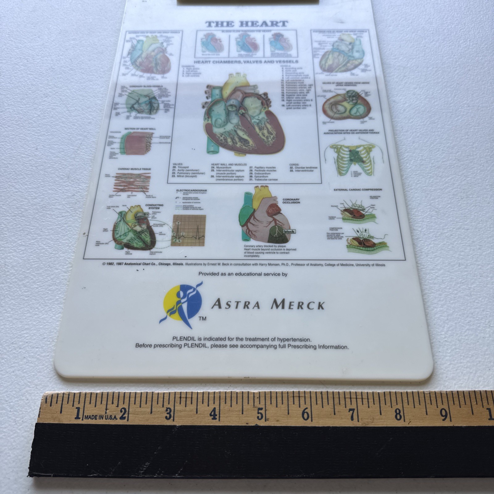 Vintage Plendil (Felodipine) Drug Advertising Clipboard