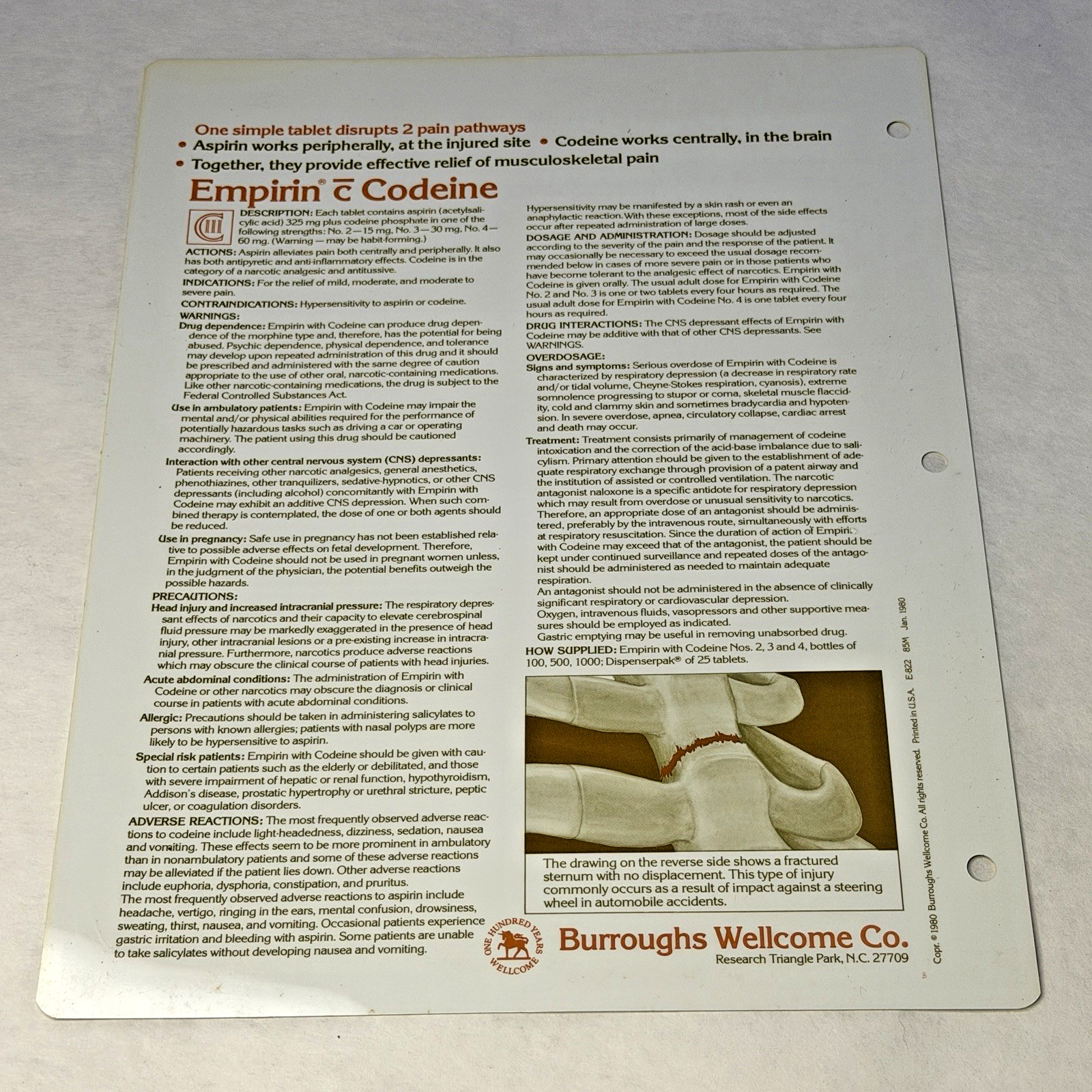 Codeine Medical Charts 5 Drug Rep Ad Promo Pharma Collectible Marketing 1980