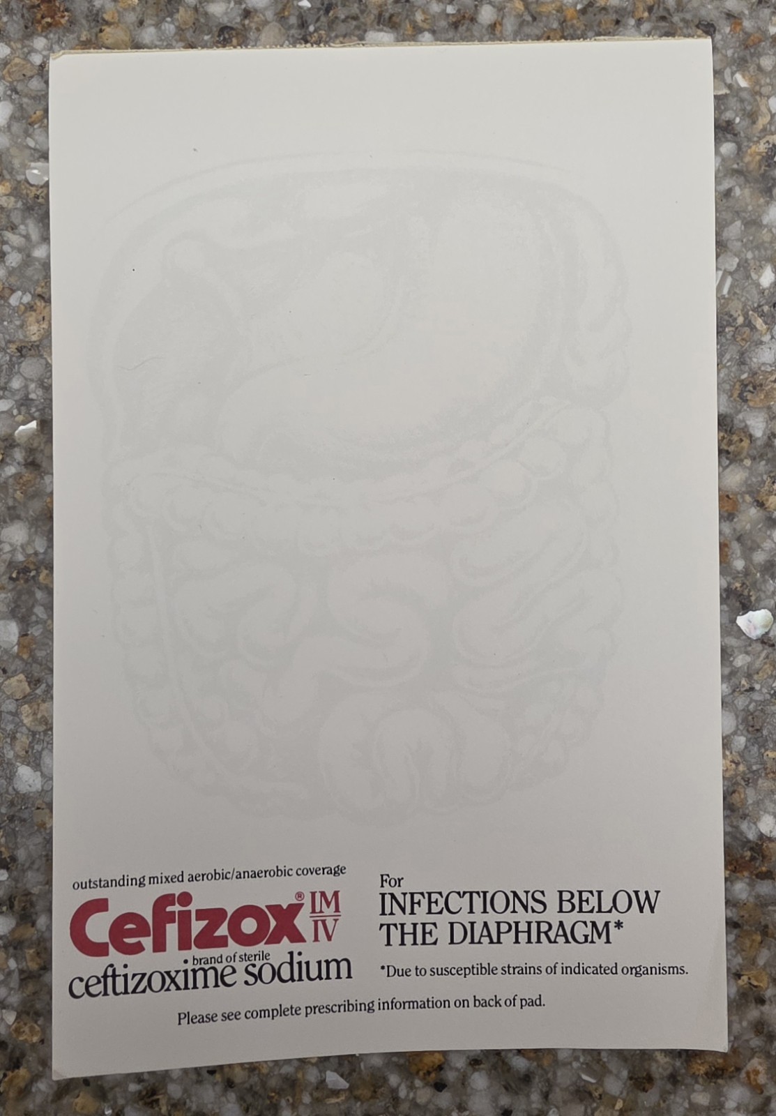Vintage Medical Advertising Lot 1983 DuPont Coumadin Pad 1987 Cefizox Note Paper