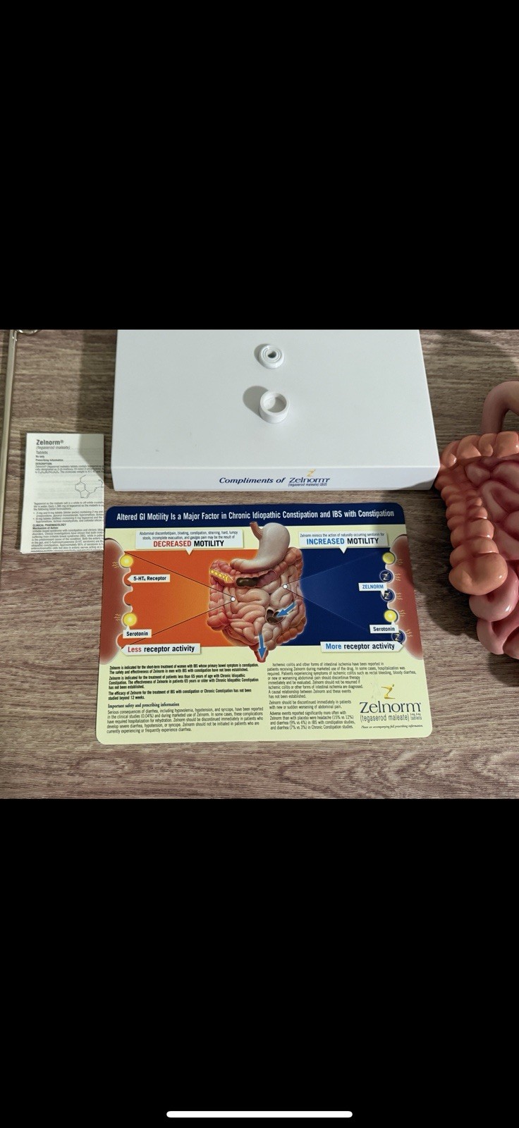 Vintage Digestive System Model / Zelnorm Drug Rep Display of the GI System
