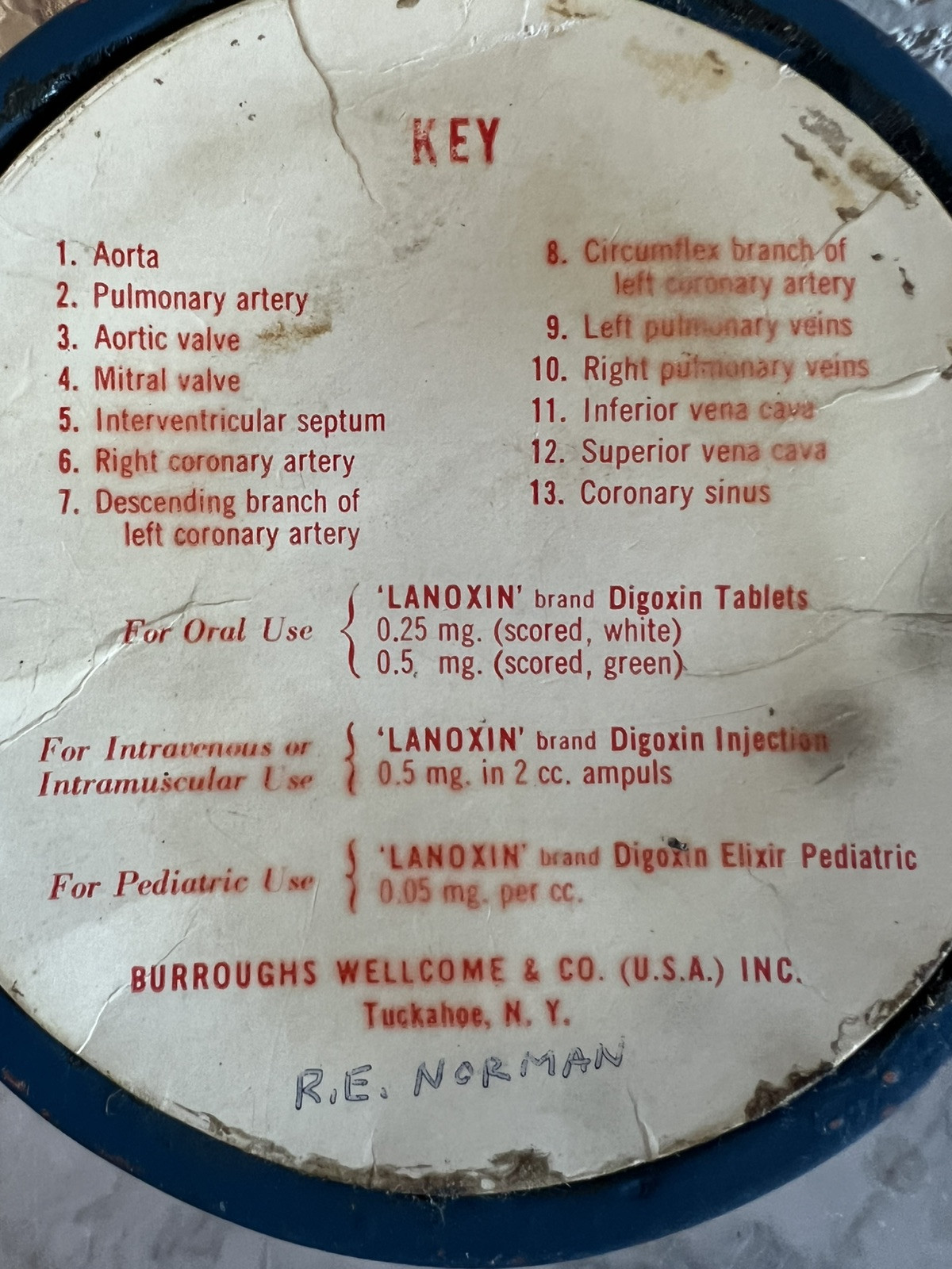 Vintage Burroughs Wellcome & Co. Lanoxin Digoxin Heart Model 3D Diagram Labeled