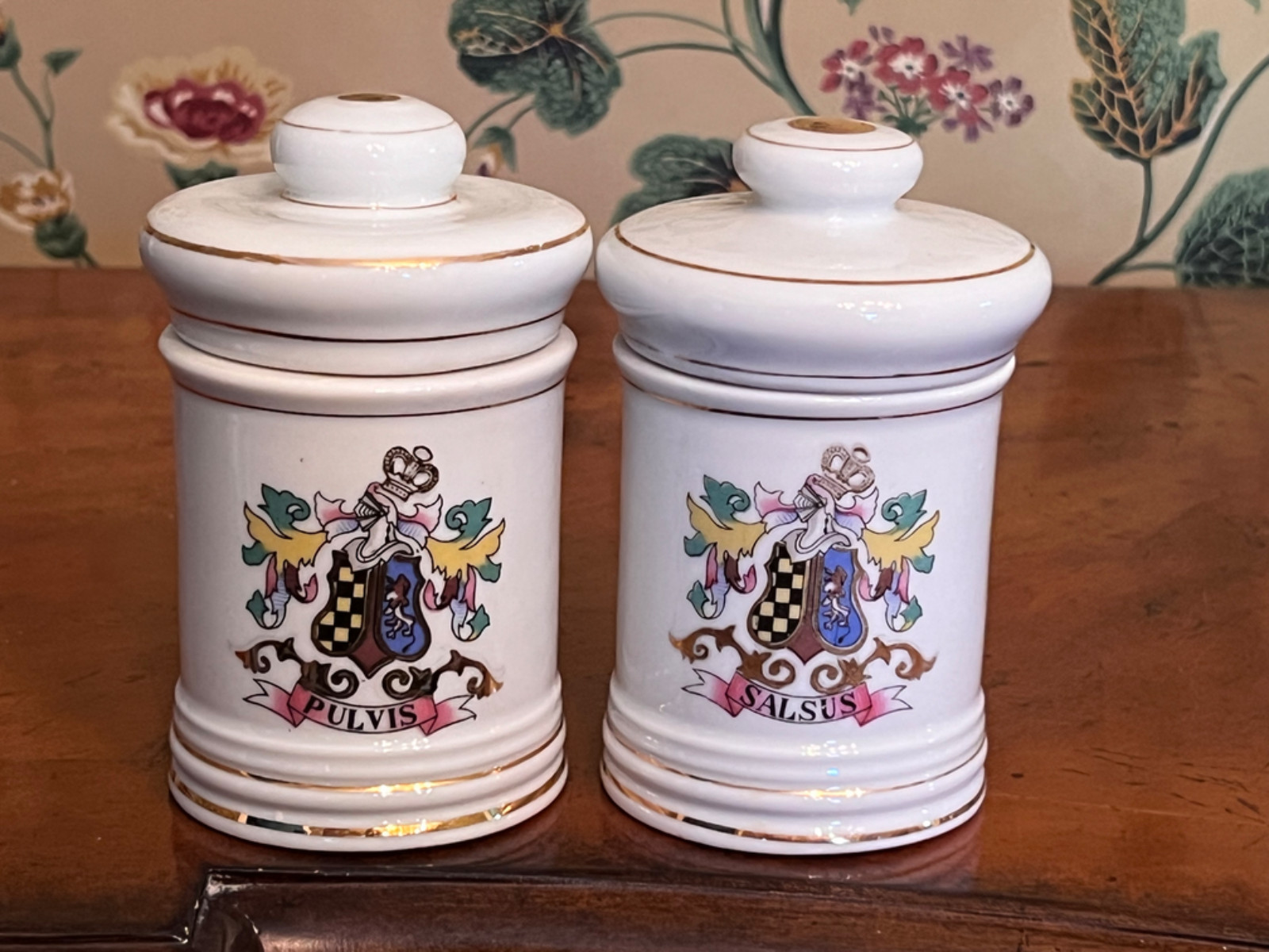 Vintage DOM Japan Set Of 2 Latin Apothecary Jars Pulvis Salsus