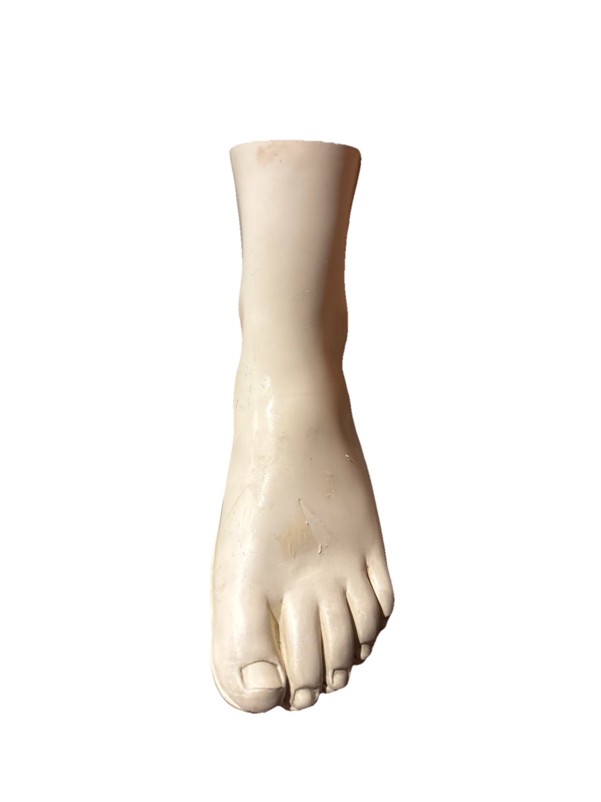 Anatomical foot display – Merck, Sharp & Dohme, please read
