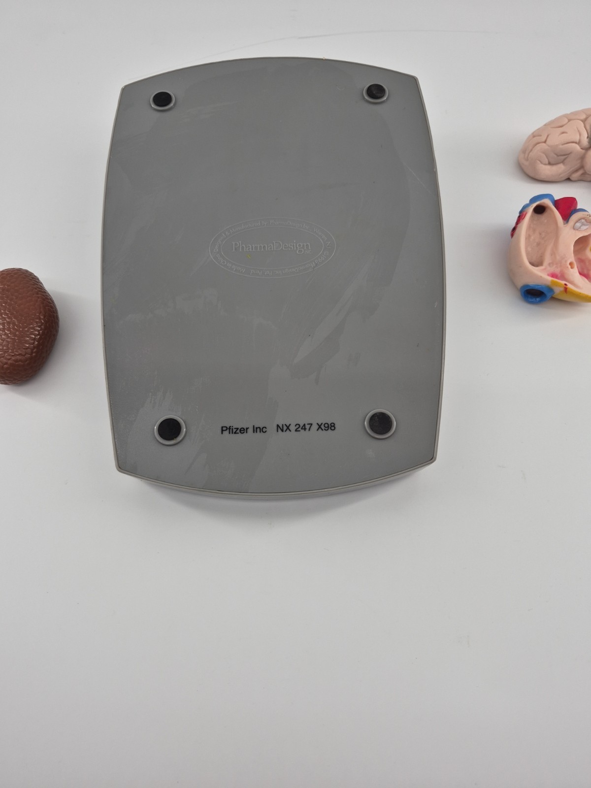 RARE ODDITIY NORVASC MEDICAL DISPLAY BRAIN HEART KIDNEY COLLECTIBLE