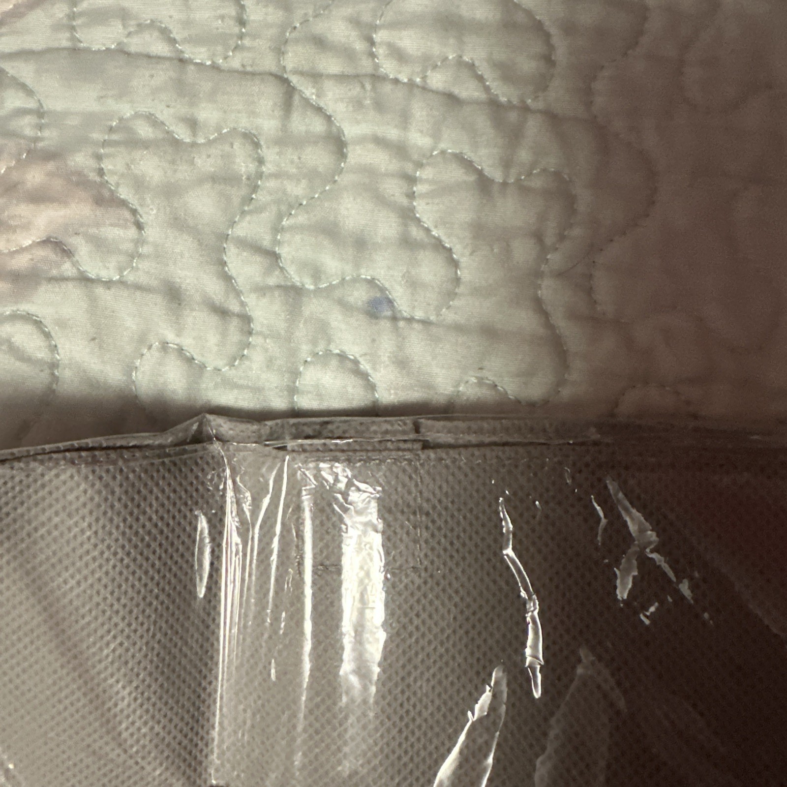 Viagra and Detrol LA Pharmaceutical Drug Rep Advertising Tote Bag NEW