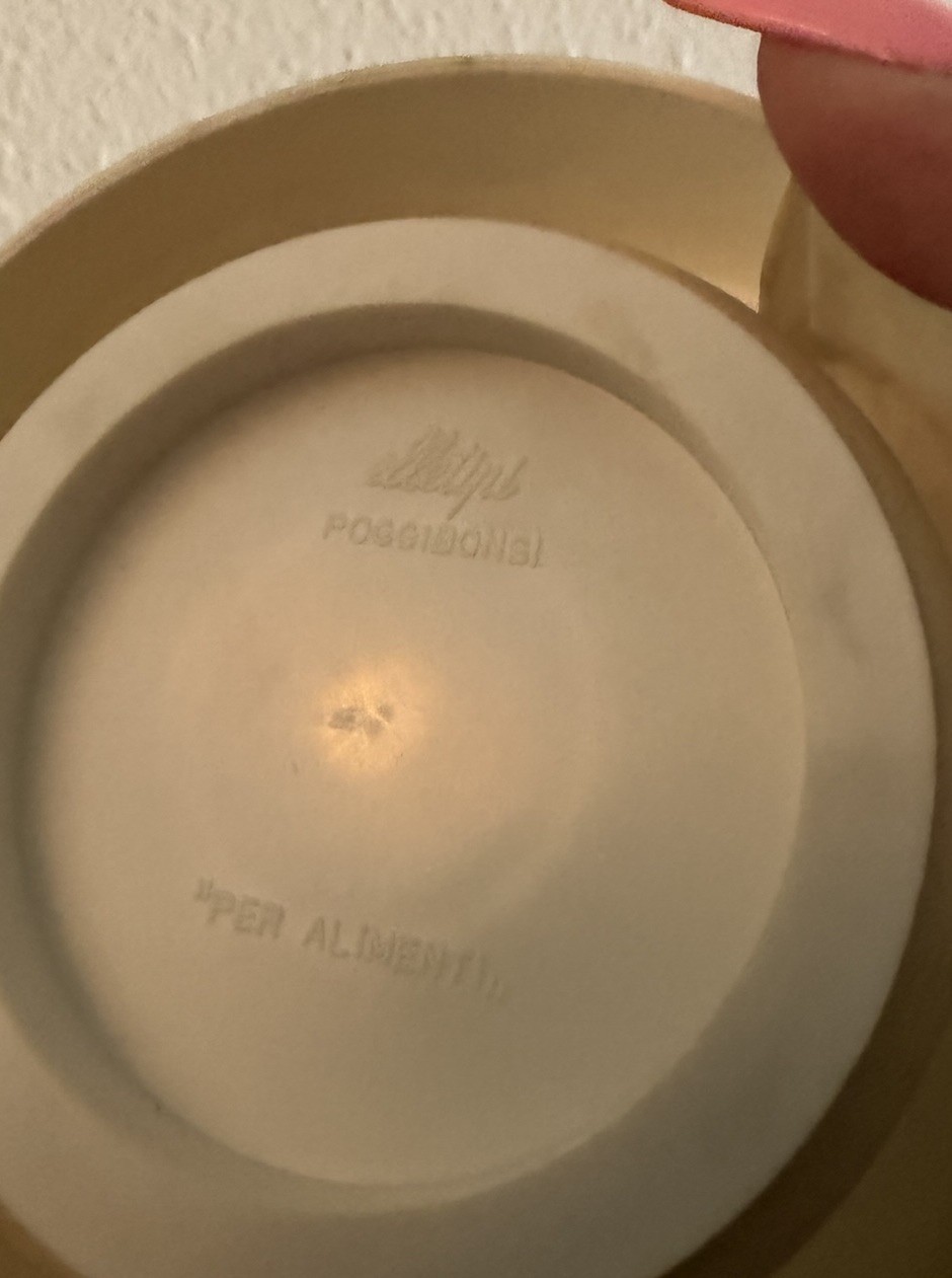 vtg70s italian repro of US 1900s pharmaceutical advertisement milkglass canister