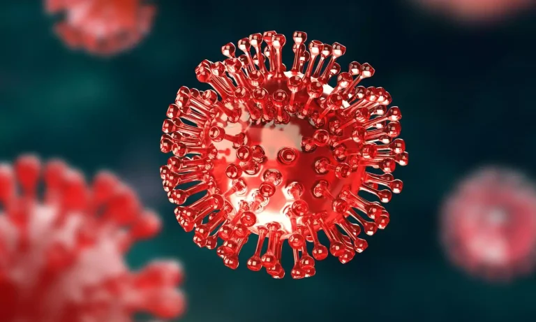 The Impact of Human Metapneumovirus on Public Health – Voizmed Pharma