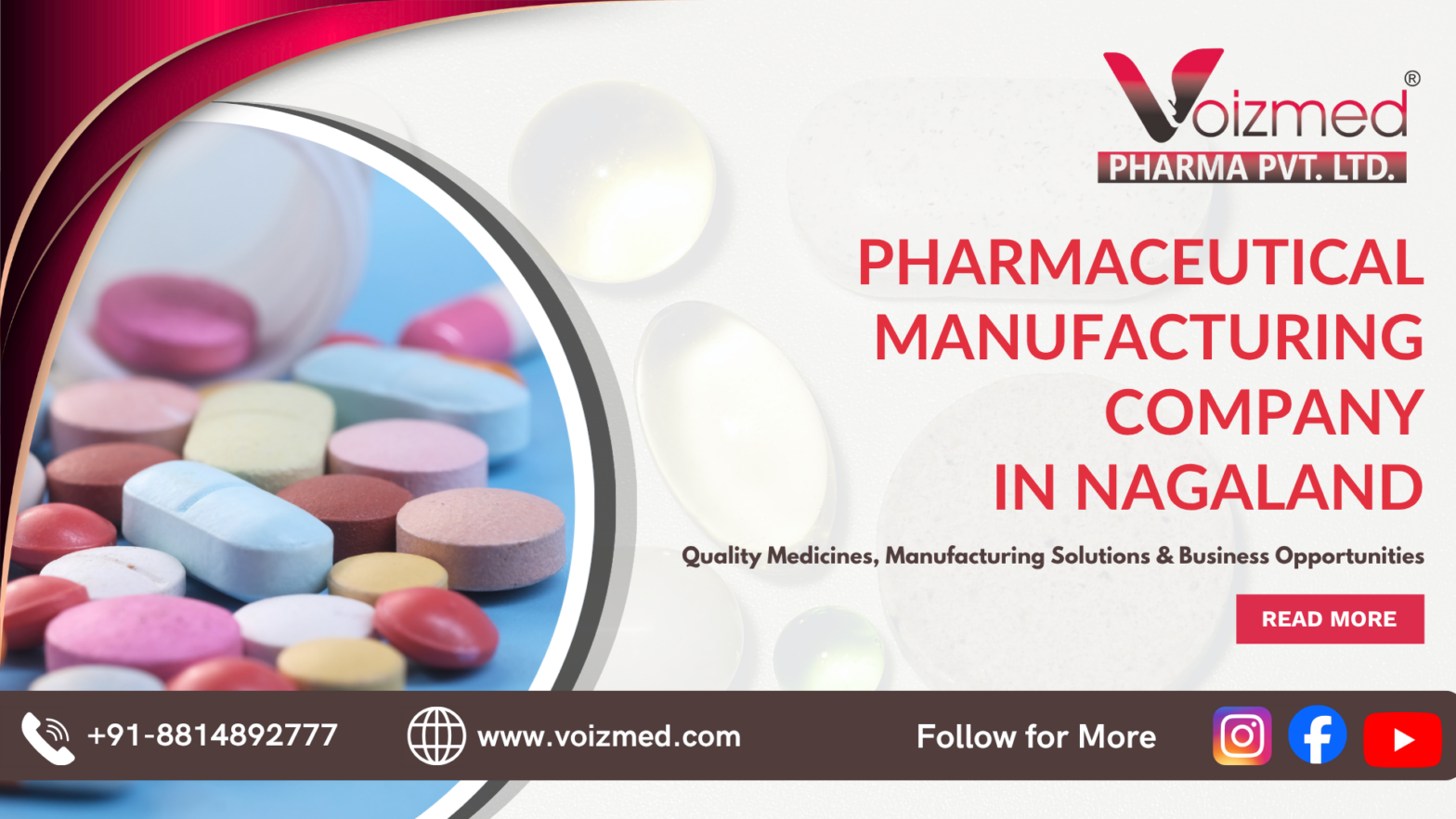 pharmaceutical manufacturing company in Nagaland